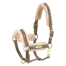 Eskadron Heritage Collection  Halters