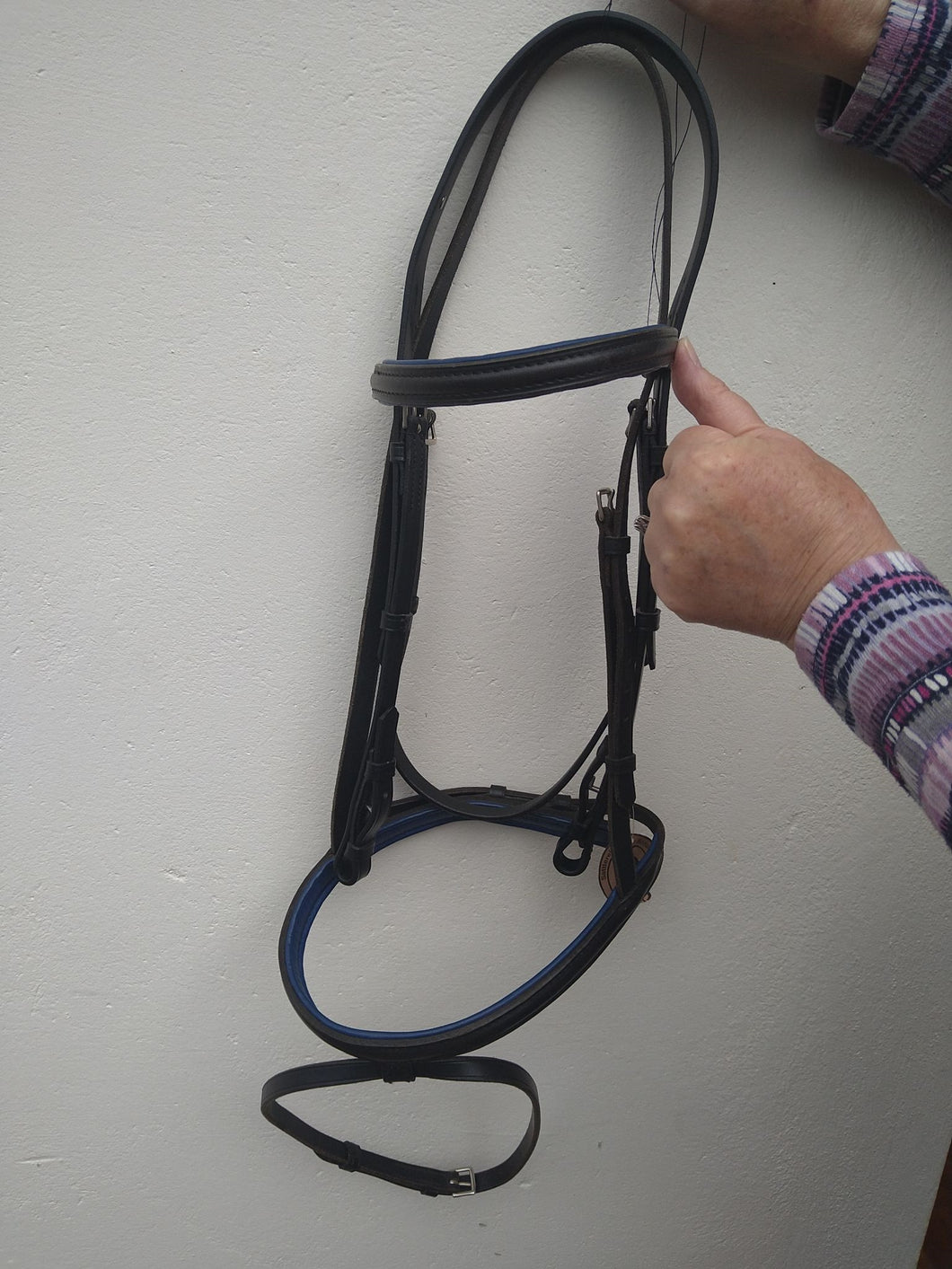 Otto Schumacher Warendorf Bridle  full xiae